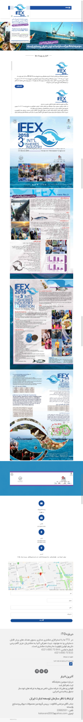 وب سایت ifex